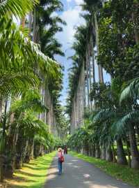 the Royal Botanical Gardens in Kandy, Sri Lanka