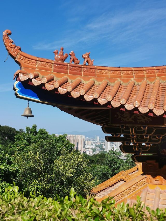廣東江門大雁山|感受自然