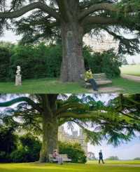 Visit to Highclere Castle, the Real Downton Abbey!