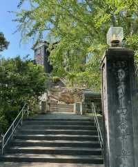 探索日本德島常樂寺｜一場獨特的文化之旅