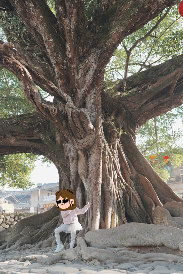 福建土樓,一定要在對的時候去! 福建土樓,一定要在對的時候去!