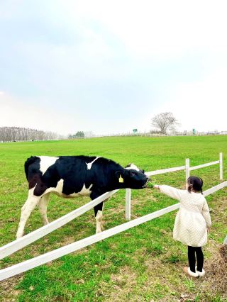 1 hour from Chengdu | Feed cows and small animals, take your kids out for a walk...