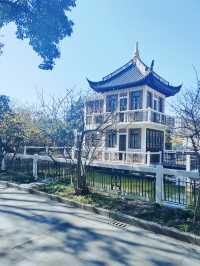 上海這個公園也太好逛了-桂林公園記