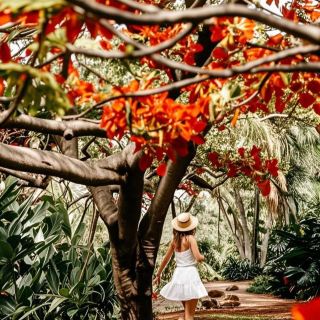 Darwin Travel Guide | A Dreamy Adventure in the Northern Territory