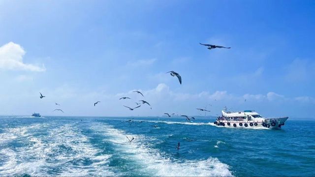 探秘膠東半島的絕美風光與深厚文化