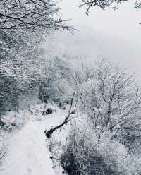 奔赴鄭州，只為一場「嵩山」之約