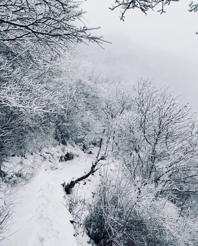 奔赴鄭州，只為一場「嵩山」之約