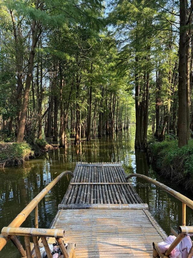 沙家浜-虞山尚湖旅遊攻略