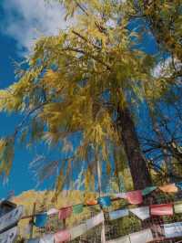 瀘定3日遊 泡真溫泉享受愜意時光