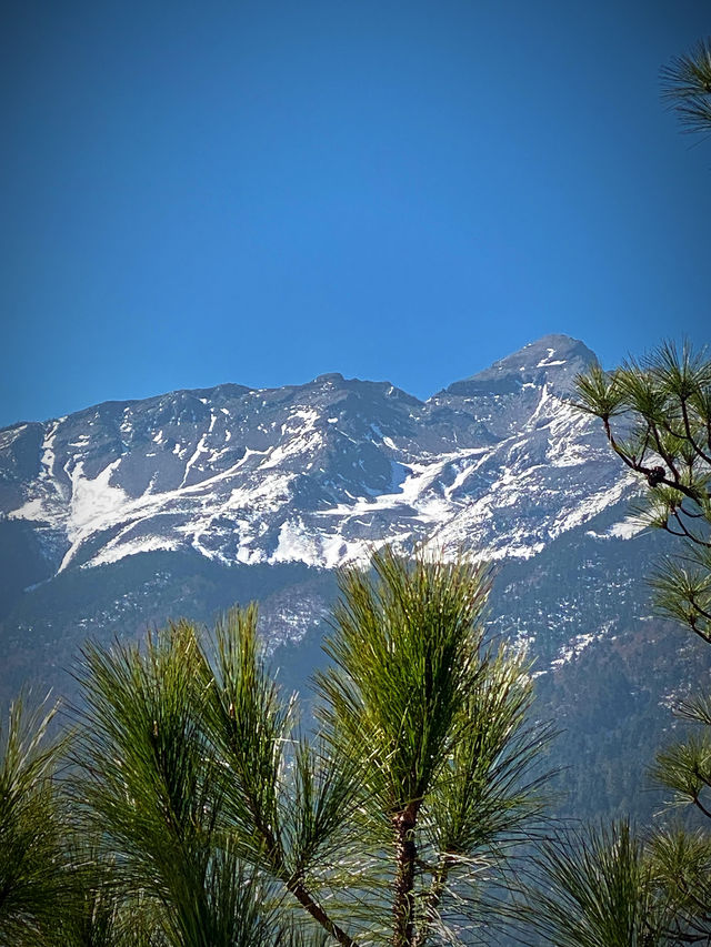 哈巴雪山旅行攻略筆記