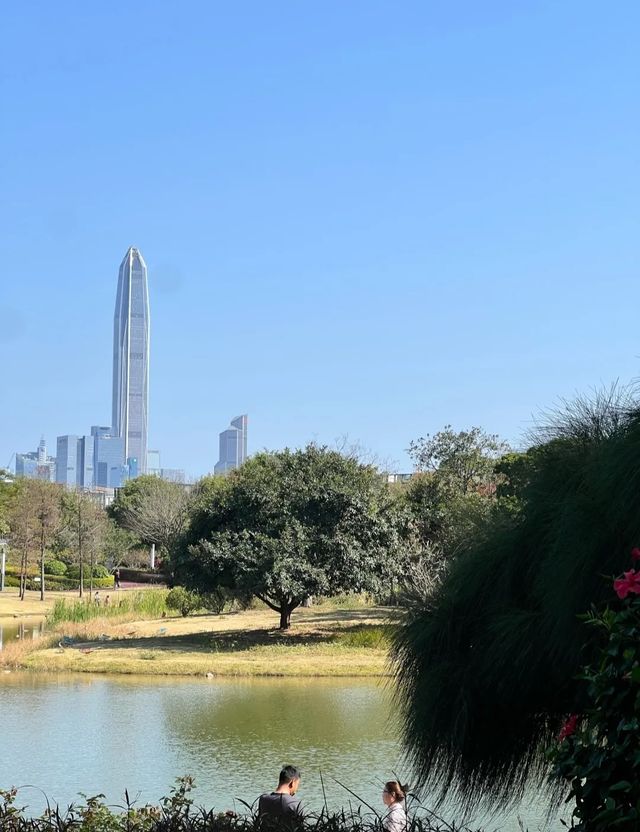 不愧是富人後花園，這很深圳