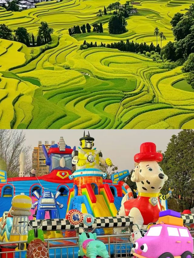 羅平受罪已回，要去的姊妹慎重。