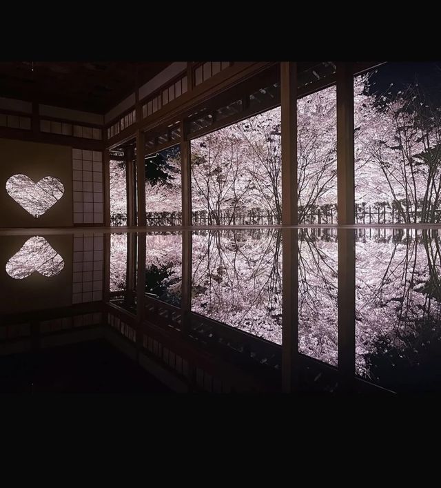 京都｜正壽院櫻花馬上開始了，心形窗戶
