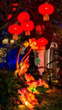 一夜花燈醉