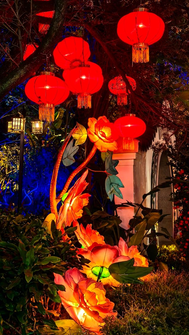 一夜花燈醉