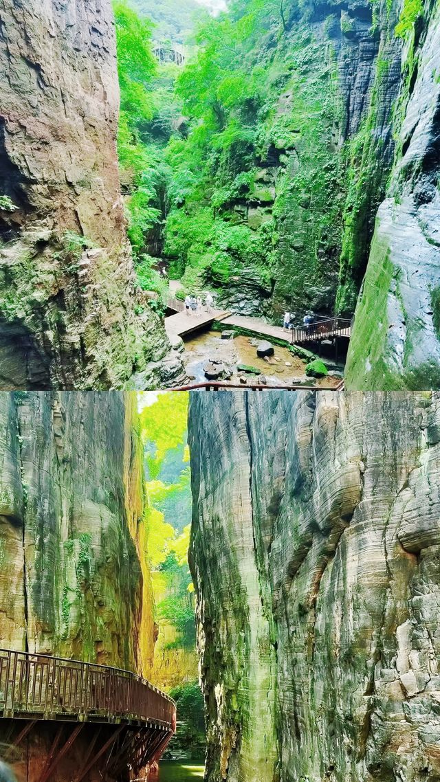 破產後逆襲！被遺漏的龍潭大峽谷