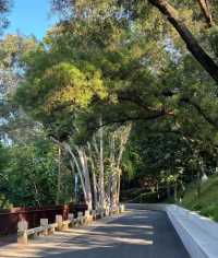 好天氣不容錯過|深圳市區小眾公園！