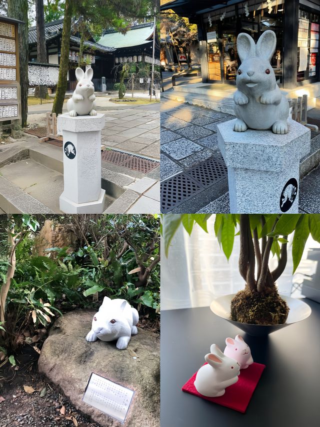 探秘岡崎神社 | 藏在日本岡崎市的祈福聖地