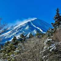 東京周邊@富士山一合目啦