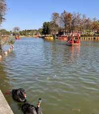 珠海都有夢幻莫奈花園，花開正盛