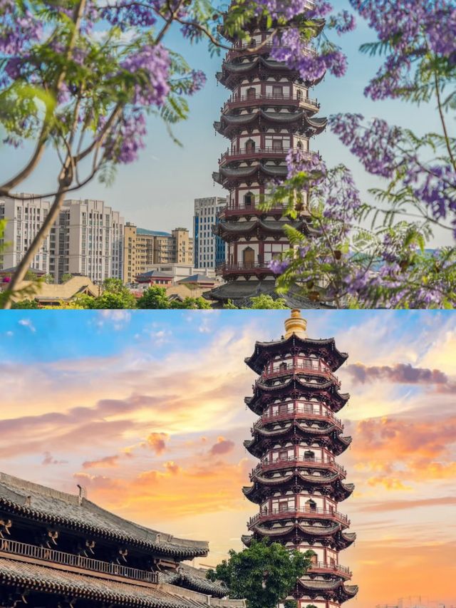 夜遊西昌唐園，火樹銀花間夢回千年