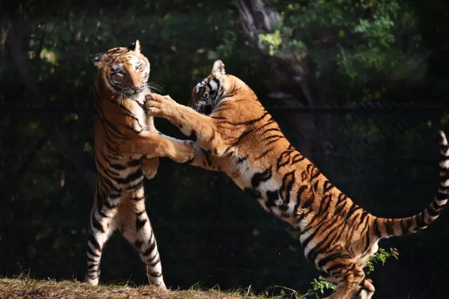 Shenzhen family fun must-go! Super fun places to take your kids