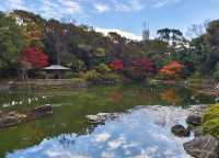 探索名古屋白鳥庭園｜欣賞自然之美