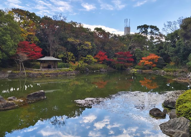 探索名古屋白鳥庭園｜欣賞自然之美