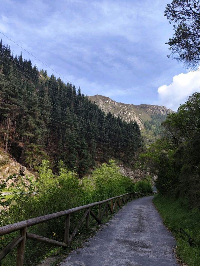 Senda del Oso: A Hidden Gem in Asturias 🌳🐻