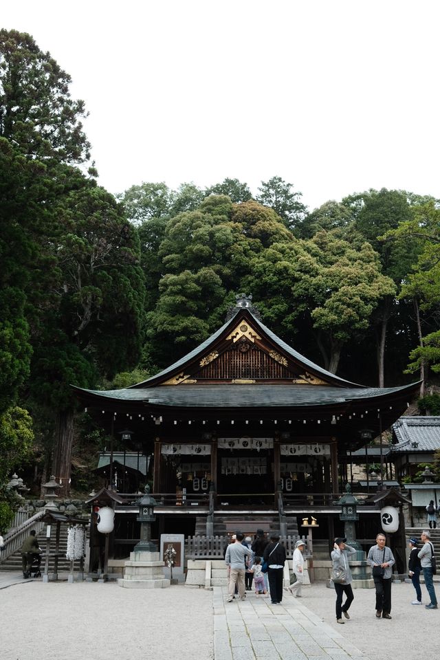 京都周邊避世古鎮・近江八幡Chill一日遊