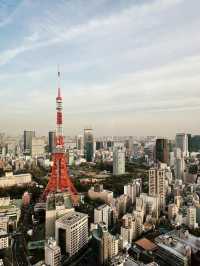 週末3日東京賞櫻攻略