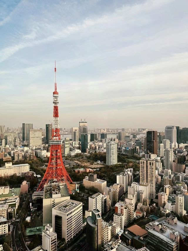 週末3日東京賞櫻攻略