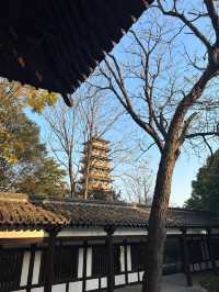 南京-揚州3日遊 玩轉雙城不迷路