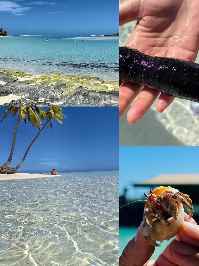 庫克群島拉羅湯加島 | 兩天玩樂攻略