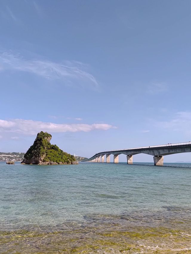 日本5日遊小長假超全攻略來啦