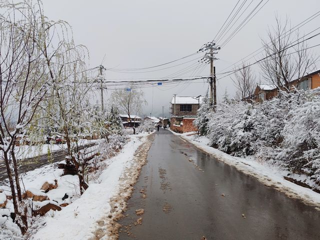 雪後的玉湖村，仿如童話世界