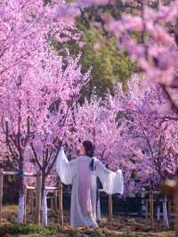 天氣這麼舒服，還不出去看看春天？
