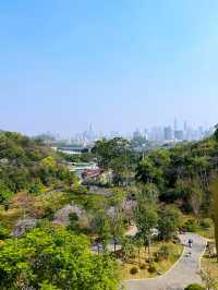 廣州攻略｜花城賞花熱，雲蘿植物園打卡多巴胺