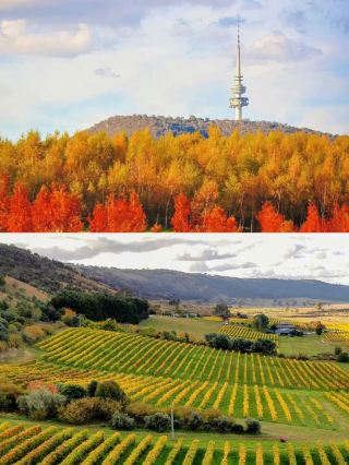 Канберра: самая незаметная столица, город-сад Океании!