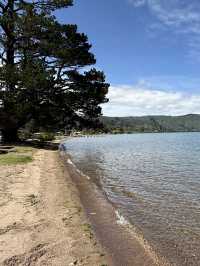 A Swim Like No Other, The Lakes In The Bay Of Plenty New Zealand