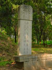 老友們，一起來享受濟南-泰安-濟寧之旅吧！帶你秒懂一切