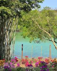 台山石花山公園，邂逅絕美春日治癒時光！
