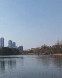 闖進現實版莫奈花園，邂逅高陽市的浪漫