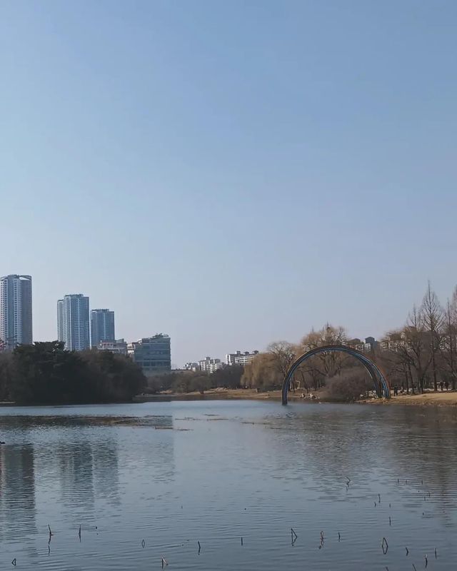 闖進現實版莫奈花園，邂逅高陽市的浪漫