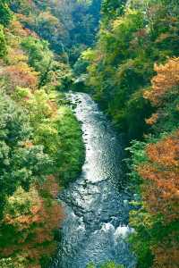 日本小眾旅遊神仙景點-鶴仙溪！