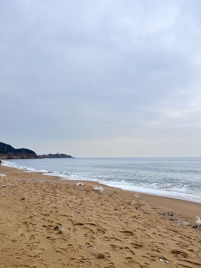5日暢遊青島等地｜超詳細行程攻略 必收藏