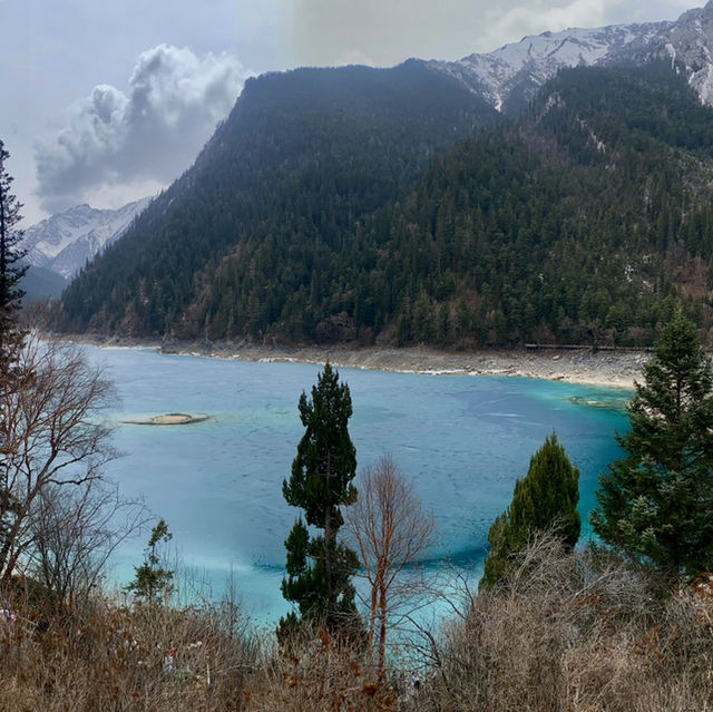 Enchanting Waters: The Magic of the Blue Lake in the Forest