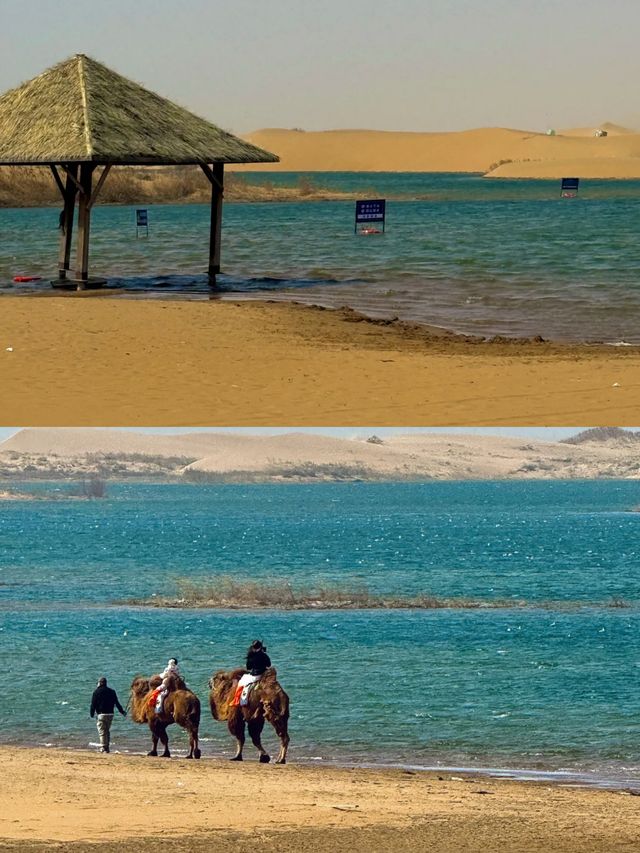 在烏海感受一半沙漠一半海