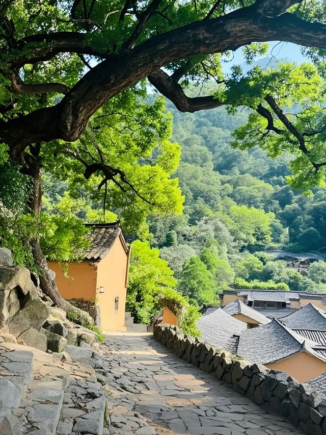靚到令人想喺度隱居！江南最後嘅秘境