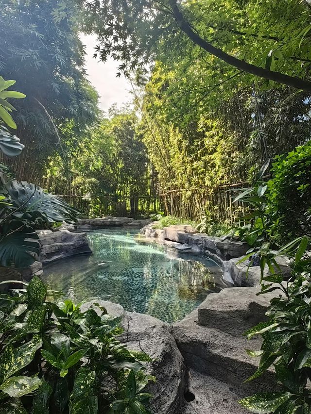 享受峨眉山溫泉之旅 | 邂逅治癒系溫暖